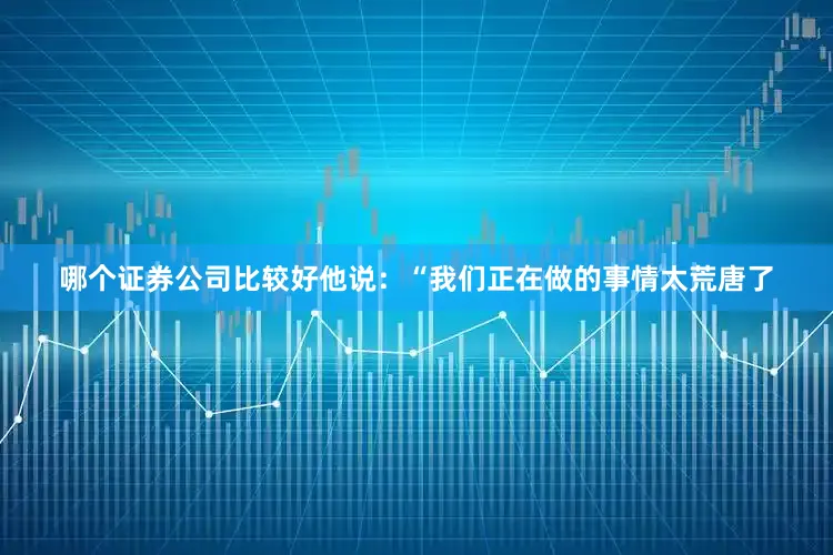 哪个证券公司比较好他说：“我们正在做的事情太荒唐了