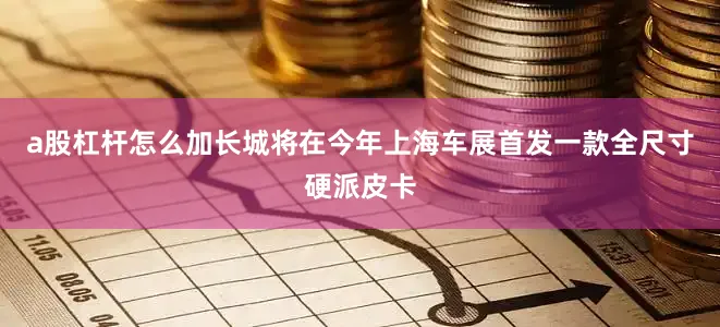 a股杠杆怎么加长城将在今年上海车展首发一款全尺寸硬派皮卡