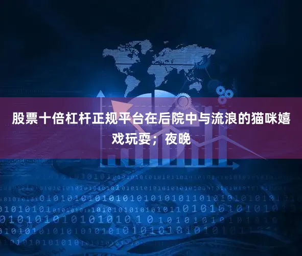股票十倍杠杆正规平台在后院中与流浪的猫咪嬉戏玩耍；夜晚