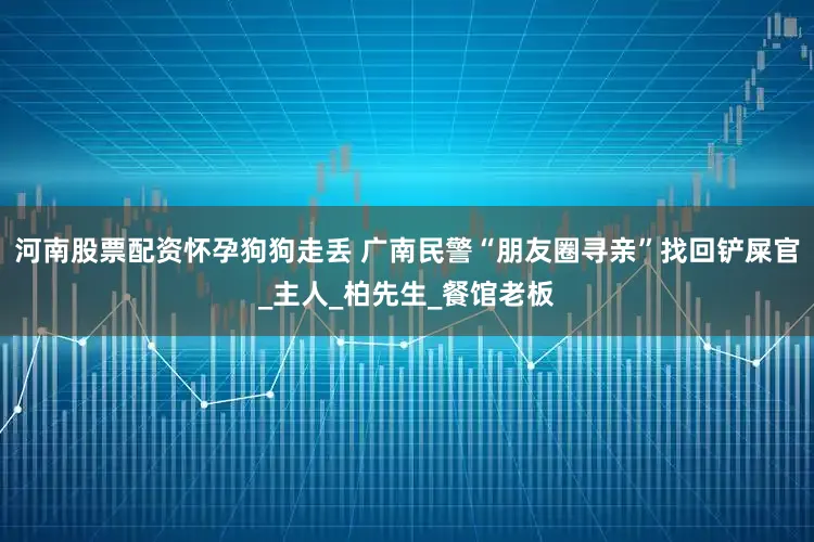 河南股票配资怀孕狗狗走丢 广南民警“朋友圈寻亲”找回铲屎官_主人_柏先生_餐馆老板