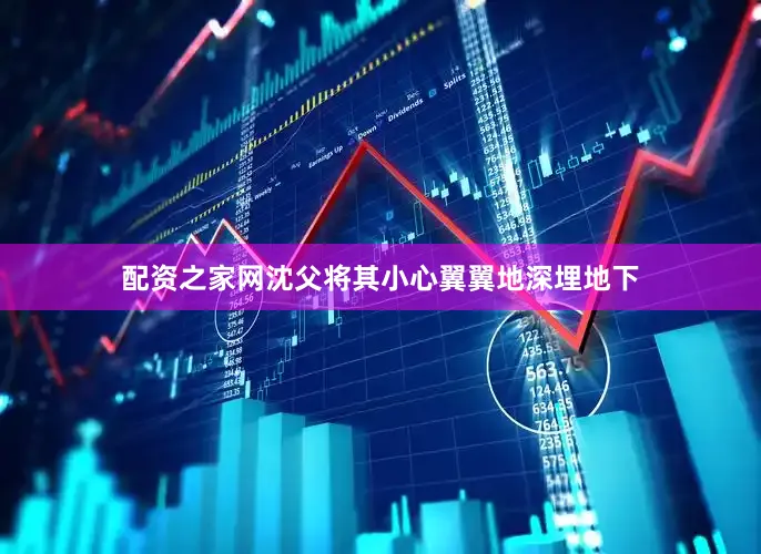 配资之家网沈父将其小心翼翼地深埋地下